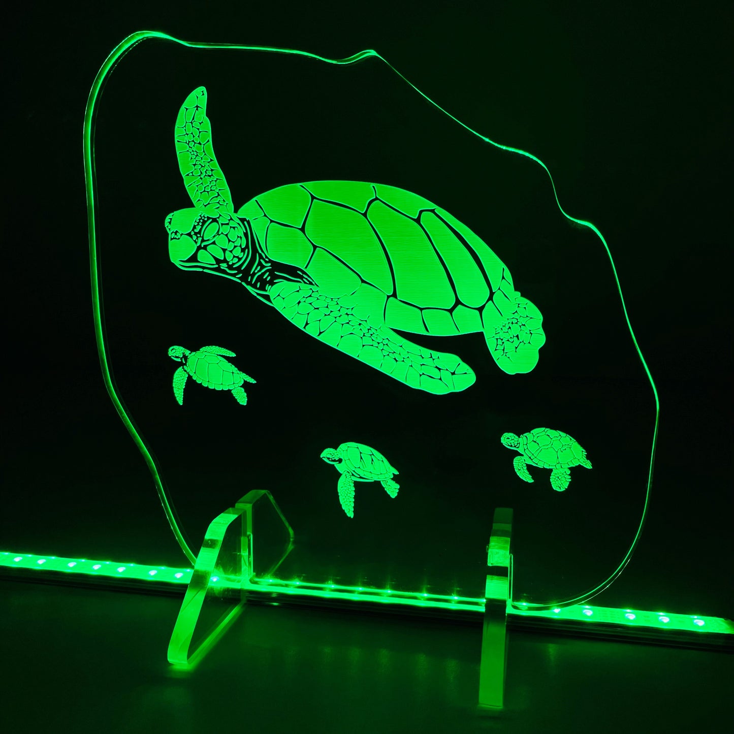 Engraved Acrylic Display: Sea Turtles - SMALL