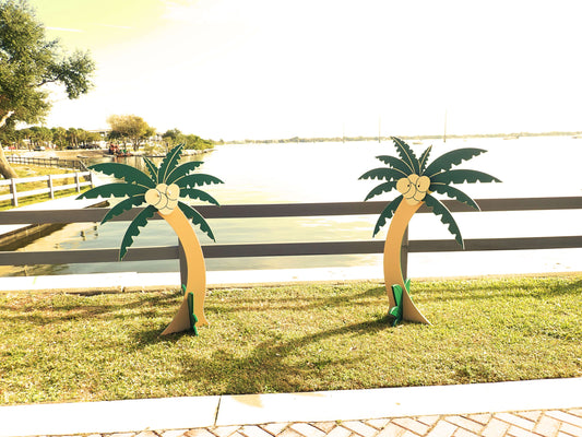 The Most AWESOME Palm Tree!